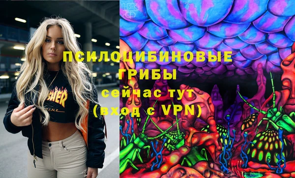прущие крисы Бронницы