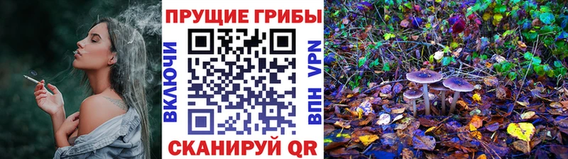 Галлюциногенные грибы Magic Shrooms  Купить закладки  Мещовск 